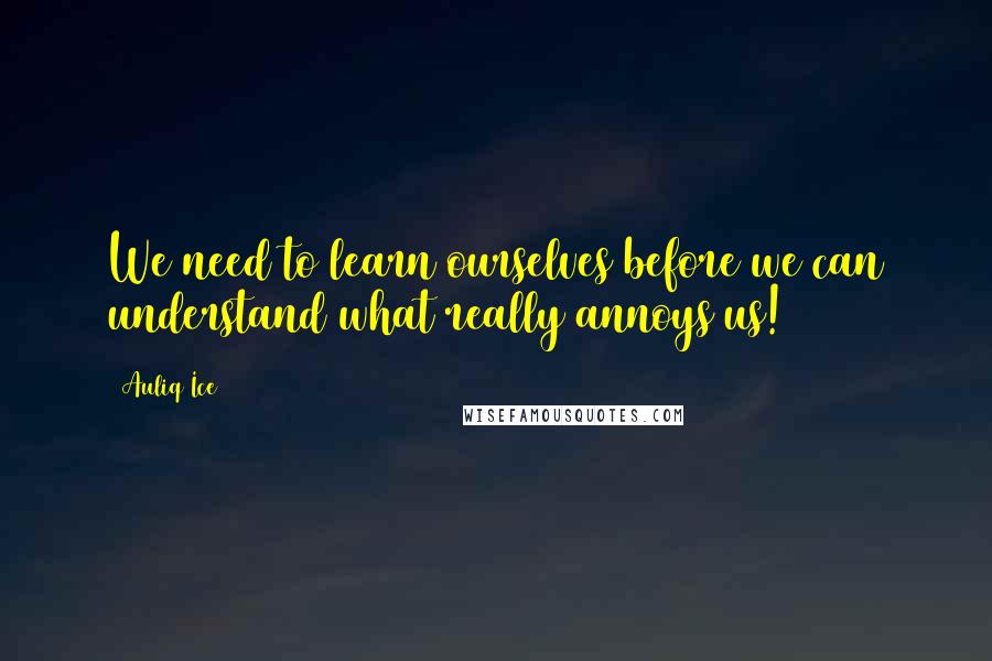 Auliq Ice Quotes: We need to learn ourselves before we can understand what really annoys us!