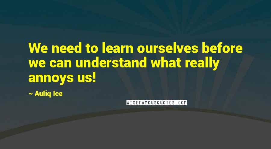 Auliq Ice Quotes: We need to learn ourselves before we can understand what really annoys us!