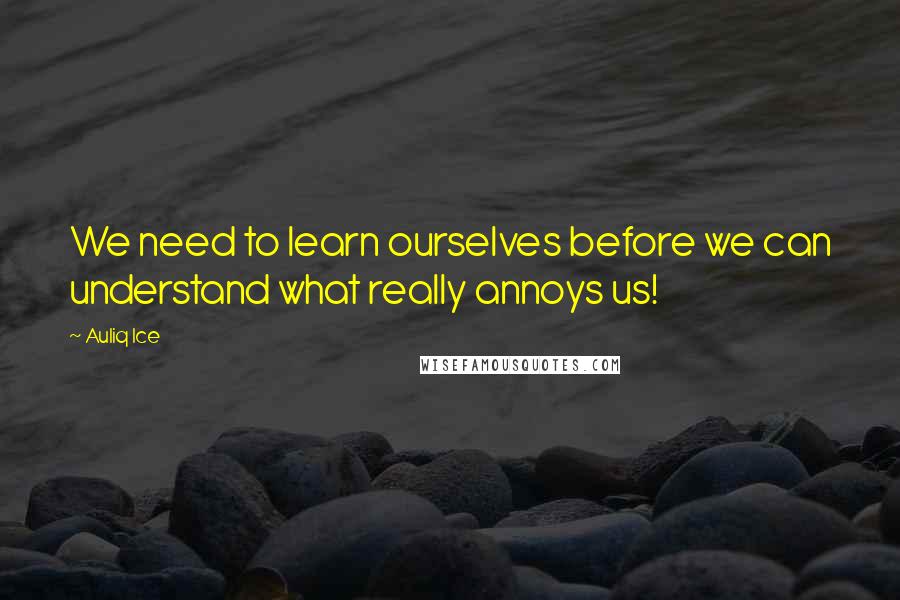 Auliq Ice Quotes: We need to learn ourselves before we can understand what really annoys us!