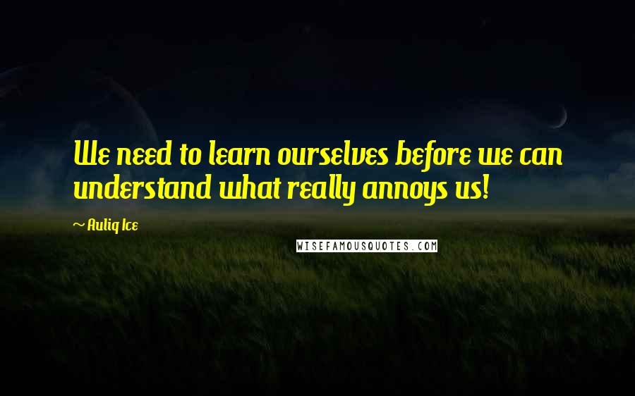 Auliq Ice Quotes: We need to learn ourselves before we can understand what really annoys us!