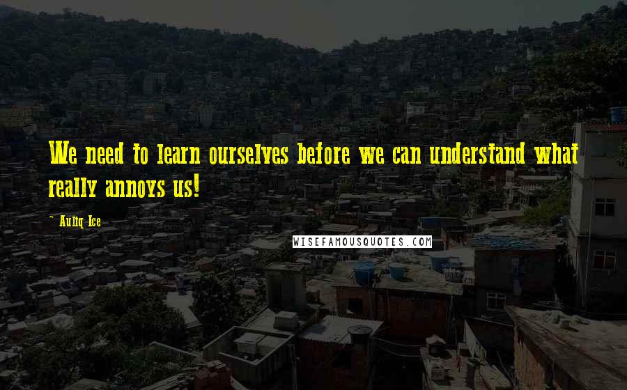 Auliq Ice Quotes: We need to learn ourselves before we can understand what really annoys us!