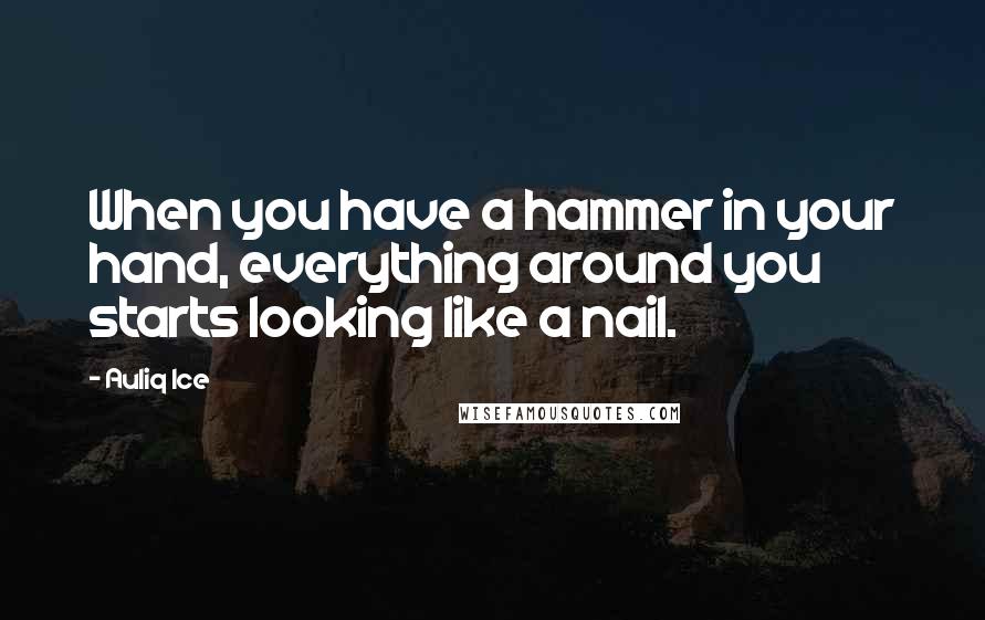 Auliq Ice Quotes: When you have a hammer in your hand, everything around you starts looking like a nail.