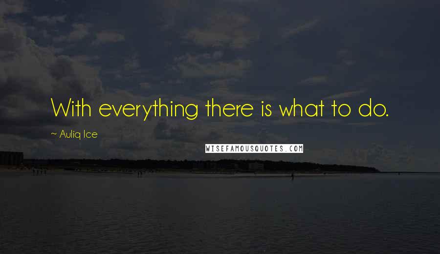 Auliq Ice Quotes: With everything there is what to do.