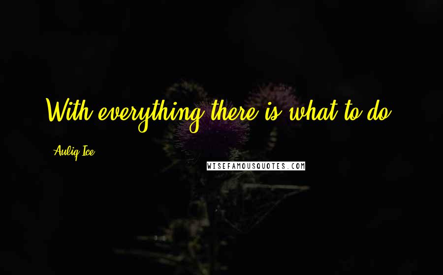 Auliq Ice Quotes: With everything there is what to do.