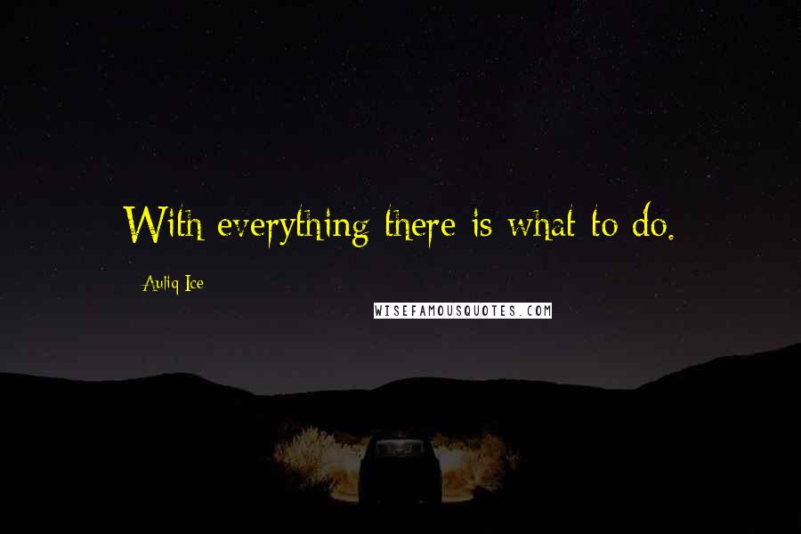 Auliq Ice Quotes: With everything there is what to do.