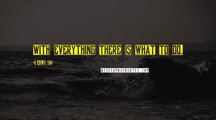 Auliq Ice Quotes: With everything there is what to do.