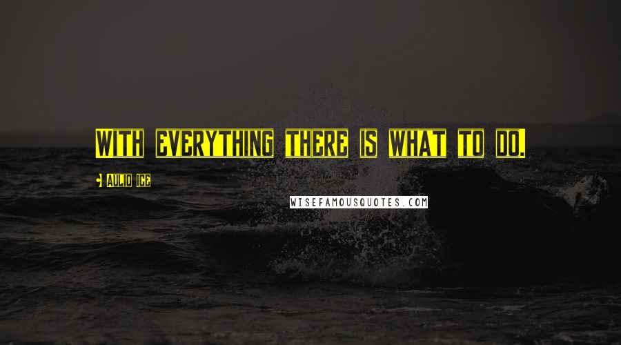 Auliq Ice Quotes: With everything there is what to do.