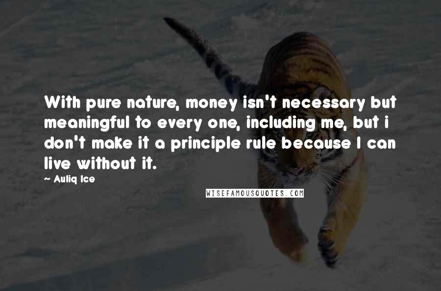 Auliq Ice Quotes: With pure nature, money isn't necessary but meaningful to every one, including me, but i don't make it a principle rule because I can live without it.