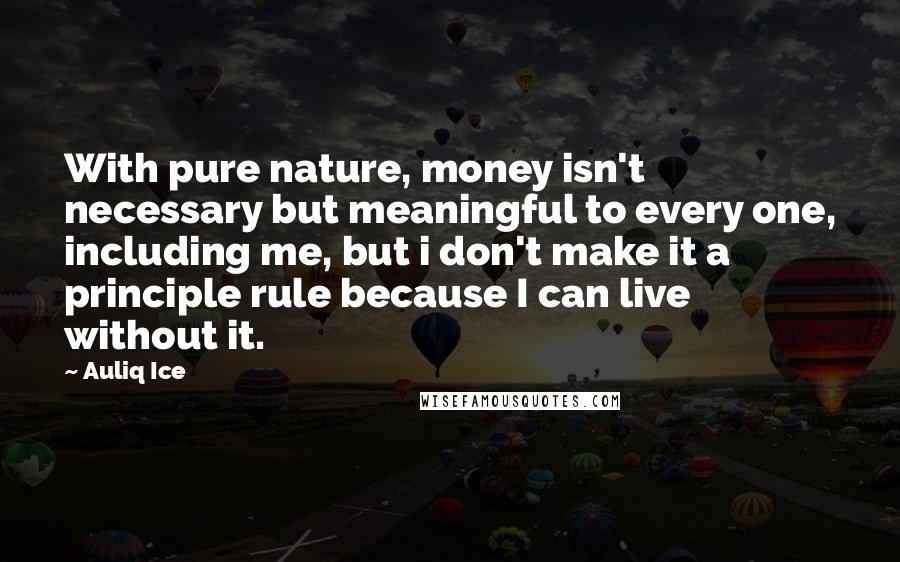 Auliq Ice Quotes: With pure nature, money isn't necessary but meaningful to every one, including me, but i don't make it a principle rule because I can live without it.