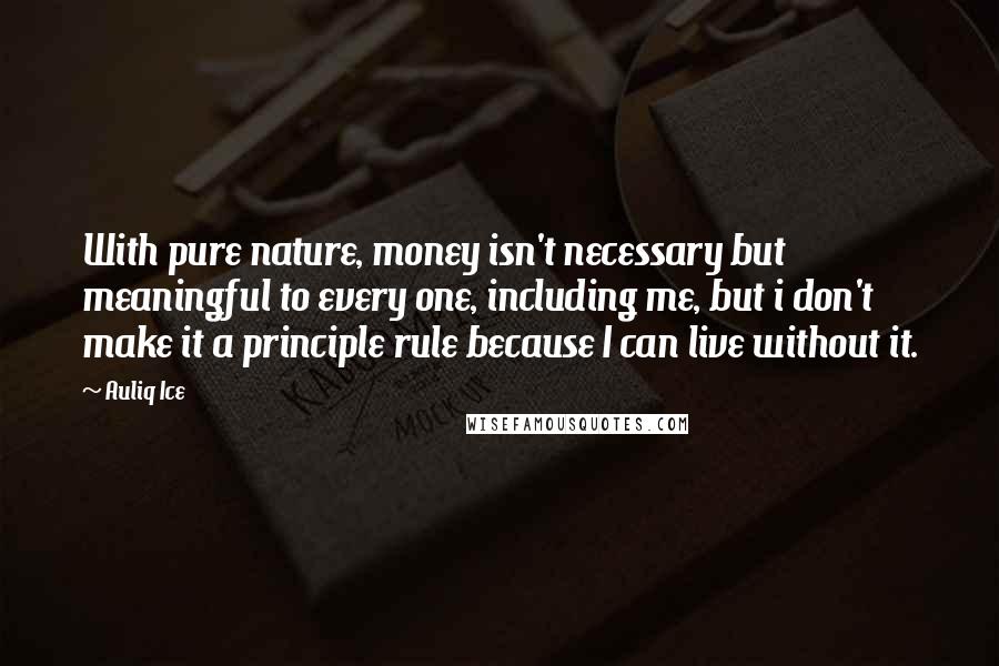 Auliq Ice Quotes: With pure nature, money isn't necessary but meaningful to every one, including me, but i don't make it a principle rule because I can live without it.