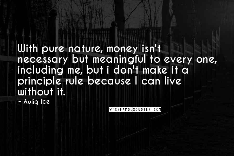 Auliq Ice Quotes: With pure nature, money isn't necessary but meaningful to every one, including me, but i don't make it a principle rule because I can live without it.