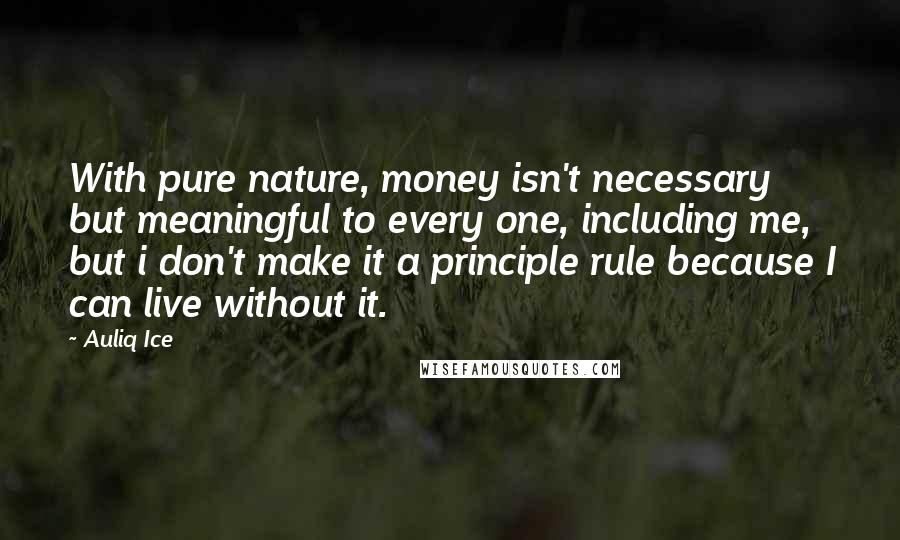 Auliq Ice Quotes: With pure nature, money isn't necessary but meaningful to every one, including me, but i don't make it a principle rule because I can live without it.
