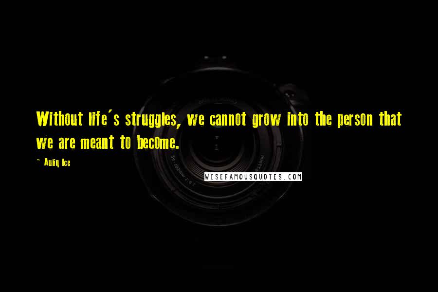 Auliq Ice Quotes: Without life's struggles, we cannot grow into the person that we are meant to become.