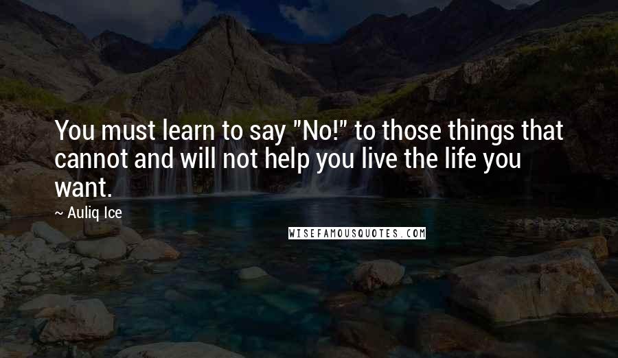 Auliq Ice Quotes: You must learn to say "No!" to those things that cannot and will not help you live the life you want.