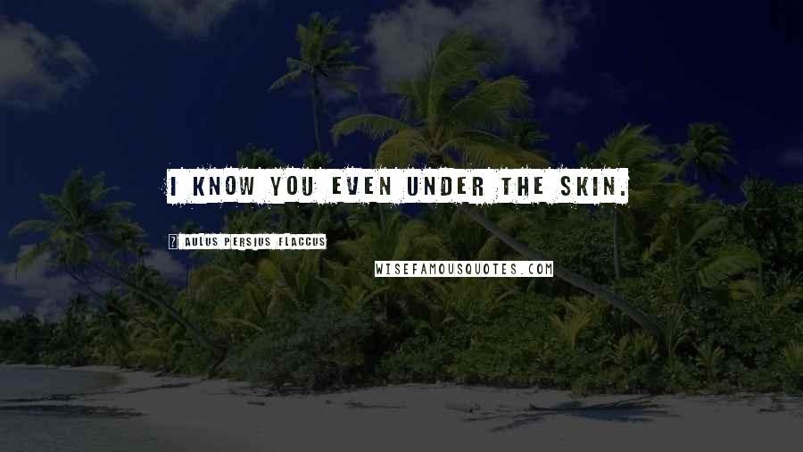 Aulus Persius Flaccus Quotes: I know you even under the skin.