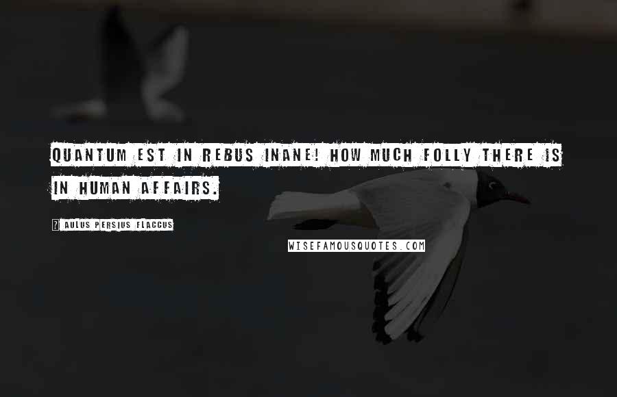 Aulus Persius Flaccus Quotes: Quantum est in rebus inane! How much folly there is in human affairs.