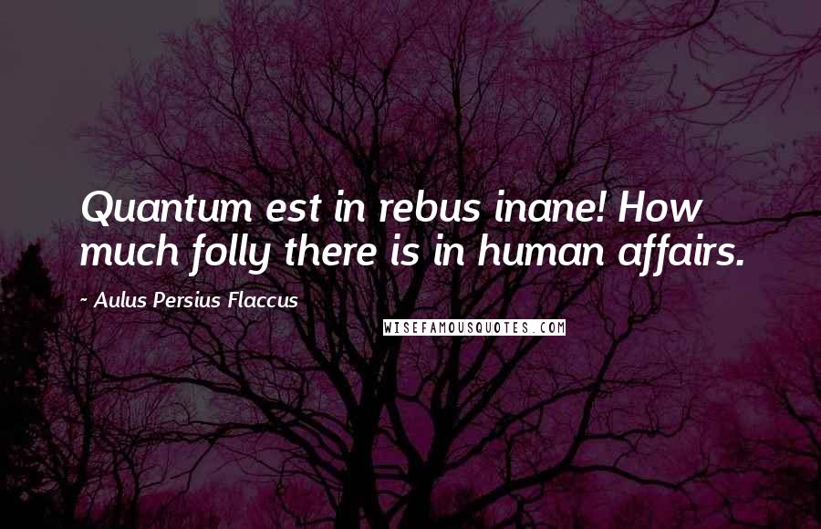 Aulus Persius Flaccus Quotes: Quantum est in rebus inane! How much folly there is in human affairs.
