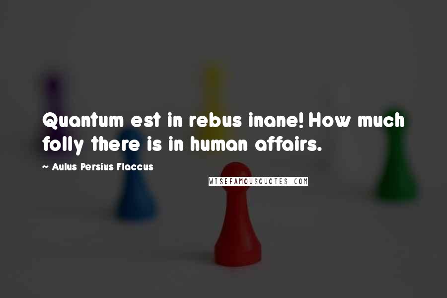 Aulus Persius Flaccus Quotes: Quantum est in rebus inane! How much folly there is in human affairs.