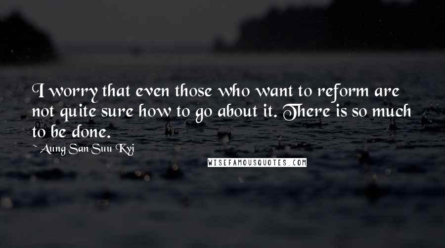 Aung San Suu Kyi Quotes: I worry that even those who want to reform are not quite sure how to go about it. There is so much to be done.