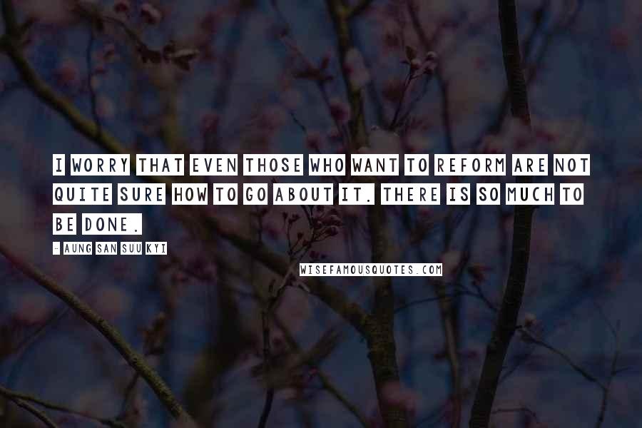 Aung San Suu Kyi Quotes: I worry that even those who want to reform are not quite sure how to go about it. There is so much to be done.