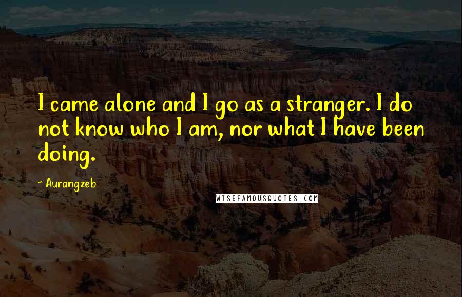 Aurangzeb Quotes: I came alone and I go as a stranger. I do not know who I am, nor what I have been doing.