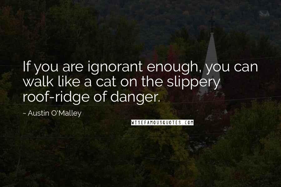 Austin O'Malley Quotes: If you are ignorant enough, you can walk like a cat on the slippery roof-ridge of danger.