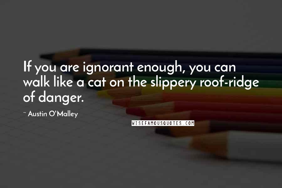 Austin O'Malley Quotes: If you are ignorant enough, you can walk like a cat on the slippery roof-ridge of danger.