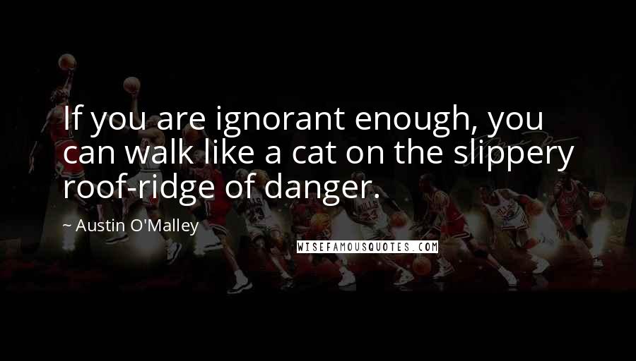 Austin O'Malley Quotes: If you are ignorant enough, you can walk like a cat on the slippery roof-ridge of danger.