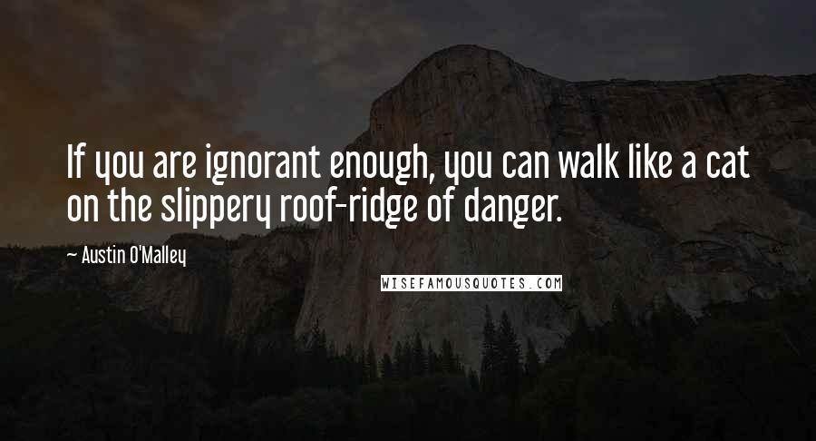 Austin O'Malley Quotes: If you are ignorant enough, you can walk like a cat on the slippery roof-ridge of danger.