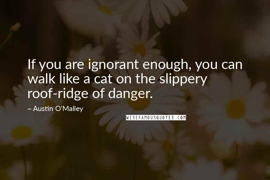 Austin O'Malley Quotes: If you are ignorant enough, you can walk like a cat on the slippery roof-ridge of danger.