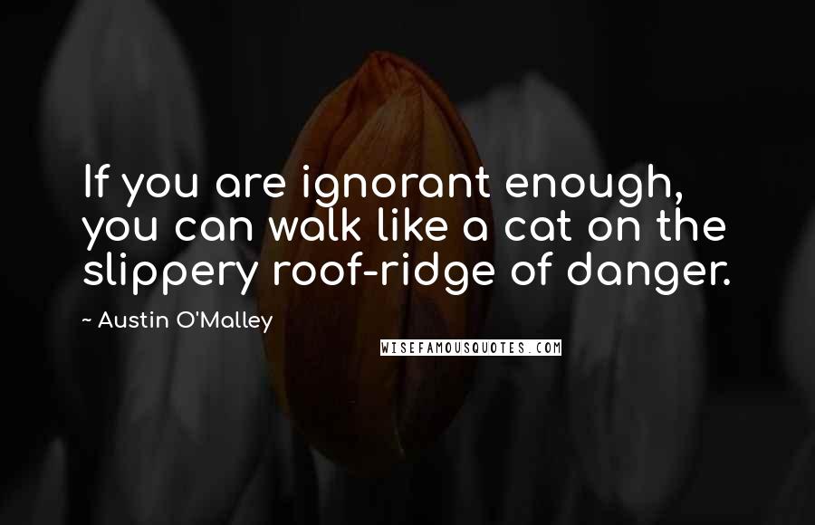 Austin O'Malley Quotes: If you are ignorant enough, you can walk like a cat on the slippery roof-ridge of danger.