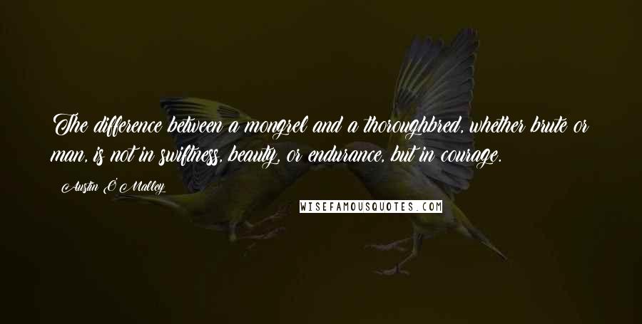 Austin O'Malley Quotes: The difference between a mongrel and a thoroughbred, whether brute or man, is not in swiftness, beauty, or endurance, but in courage.