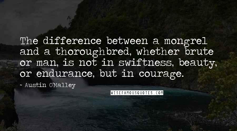 Austin O'Malley Quotes: The difference between a mongrel and a thoroughbred, whether brute or man, is not in swiftness, beauty, or endurance, but in courage.