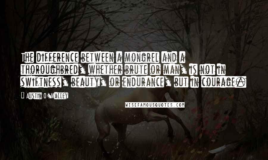 Austin O'Malley Quotes: The difference between a mongrel and a thoroughbred, whether brute or man, is not in swiftness, beauty, or endurance, but in courage.