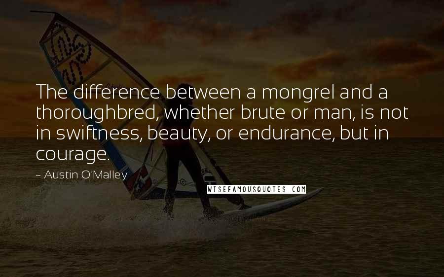 Austin O'Malley Quotes: The difference between a mongrel and a thoroughbred, whether brute or man, is not in swiftness, beauty, or endurance, but in courage.