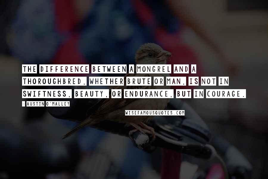 Austin O'Malley Quotes: The difference between a mongrel and a thoroughbred, whether brute or man, is not in swiftness, beauty, or endurance, but in courage.