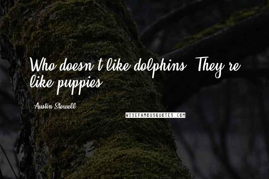 Austin Stowell Quotes: Who doesn't like dolphins? They're like puppies.