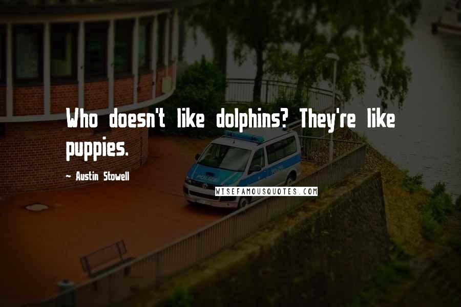 Austin Stowell Quotes: Who doesn't like dolphins? They're like puppies.