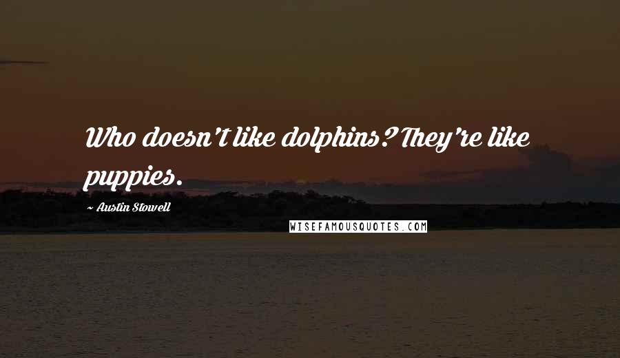 Austin Stowell Quotes: Who doesn't like dolphins? They're like puppies.