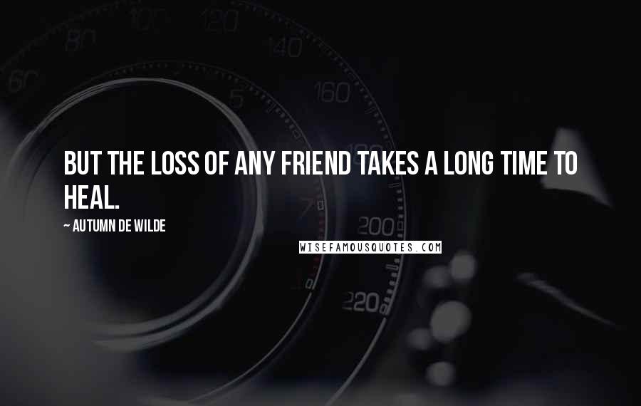 Autumn De Wilde Quotes: But the loss of any friend takes a long time to heal.