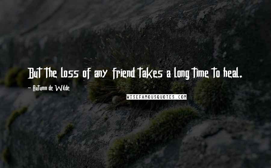 Autumn De Wilde Quotes: But the loss of any friend takes a long time to heal.