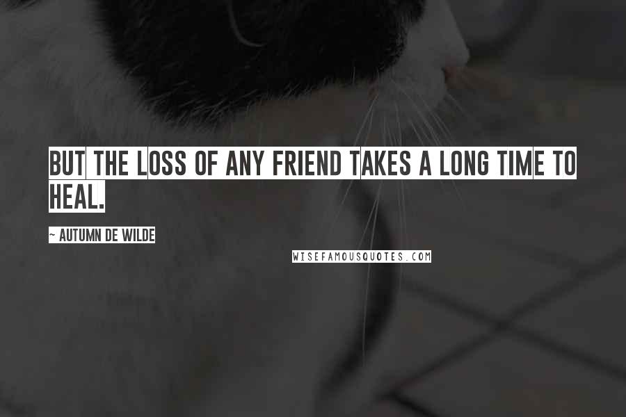 Autumn De Wilde Quotes: But the loss of any friend takes a long time to heal.