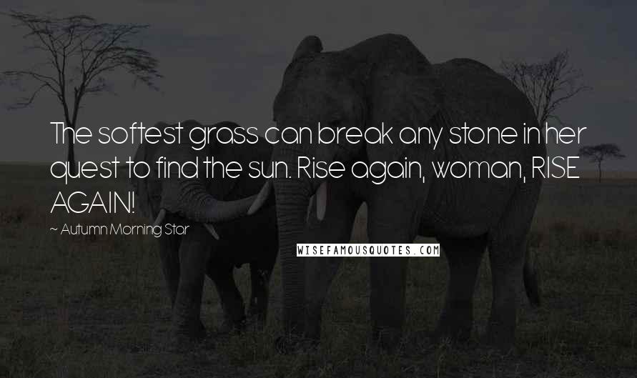 Autumn Morning Star Quotes: The softest grass can break any stone in her quest to find the sun. Rise again, woman, RISE AGAIN!