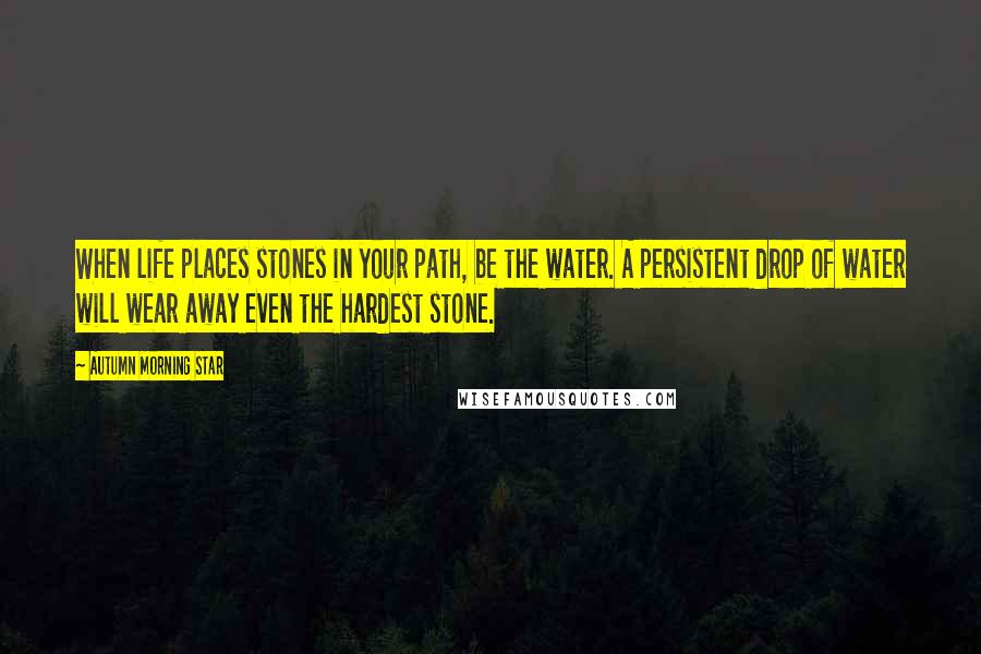 Autumn Morning Star Quotes: When life places stones in your path, be the water. A persistent drop of water will wear away even the hardest stone.