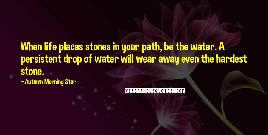 Autumn Morning Star Quotes: When life places stones in your path, be the water. A persistent drop of water will wear away even the hardest stone.