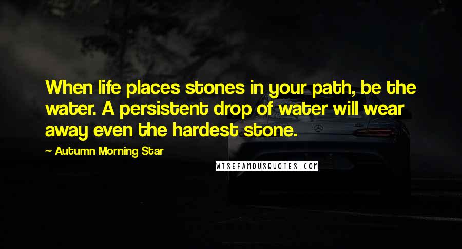 Autumn Morning Star Quotes: When life places stones in your path, be the water. A persistent drop of water will wear away even the hardest stone.