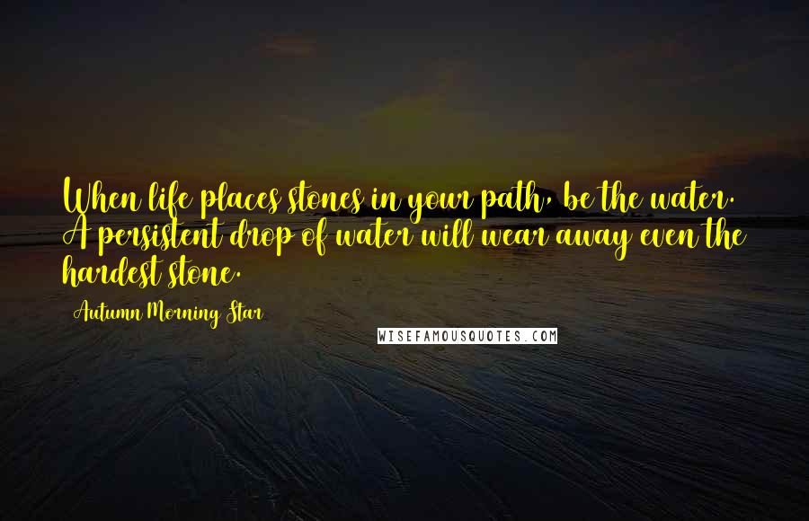 Autumn Morning Star Quotes: When life places stones in your path, be the water. A persistent drop of water will wear away even the hardest stone.