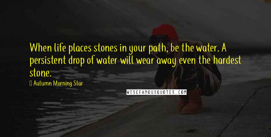 Autumn Morning Star Quotes: When life places stones in your path, be the water. A persistent drop of water will wear away even the hardest stone.