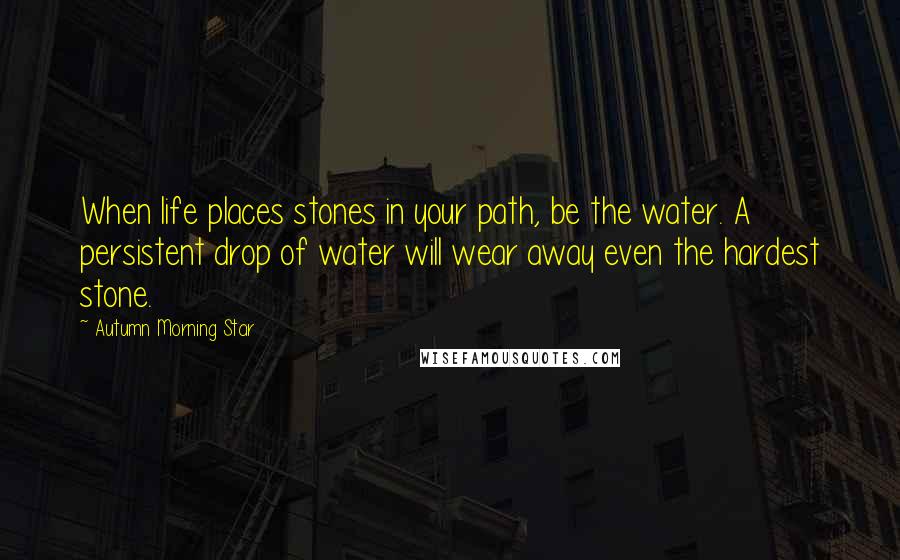 Autumn Morning Star Quotes: When life places stones in your path, be the water. A persistent drop of water will wear away even the hardest stone.