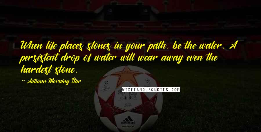 Autumn Morning Star Quotes: When life places stones in your path, be the water. A persistent drop of water will wear away even the hardest stone.